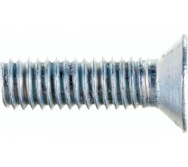 Винт Стройметиз M6х20 DIN 965, потайная головка, цинк уп. 10 шт 3091051 