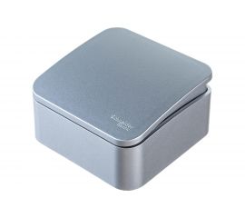 1-клавишный выключатель Schneider Electric открытой проводки Blanca 10А IP20 1 250В алюминий BLNVA101013 