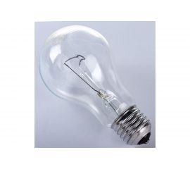 Лампа TDM Т240-200 200 Вт, цоколь Е27 SQ0343-0022 