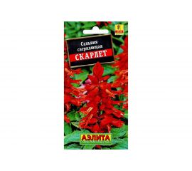 Семена Аэлита Сальвия сверкающая Скарлет однолетний, 0.1 г 4601729071850 