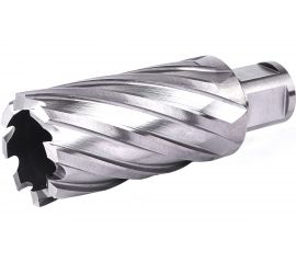 Фреза кольцевая №26 (32х55/88 мм; WELDON19; HSS M2) Профоснастка 40101026 