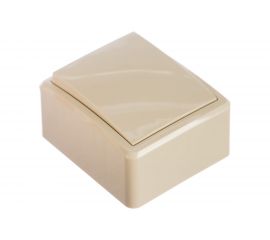 Переключатель ЭРА 11-1203-02 10АХ-250В, IP20, ОУ, Эксперт, сл.кость Б0020661 