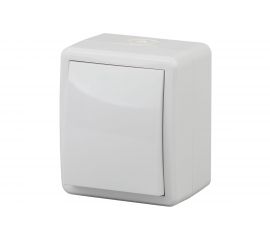 Выключатель ЭРА Эксперт 11-1401-01 IP54, 10АХ-250В, ОУ, белый Б0020669 