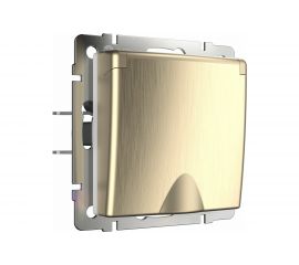 Розетка WERKEL, W1171210 влагозащита, с заземлением, с защитной крышкой и шторками, шампань рифленый a051416 