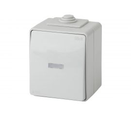 Выключатель с подсветкой ЭРА Эксперт 11160203 IP65, 10АХ250В, ОУ, Б0035974 