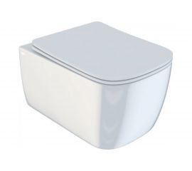 Подвесной безободковый унитаз IDDIS Bridge BRIRDSEi25 