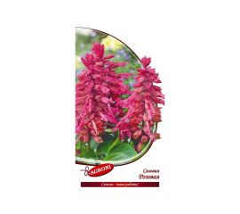 Семена Агрони Сальвия РОЗОВАЯ 3226 