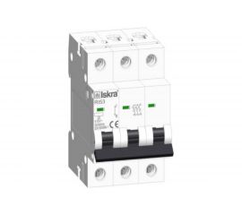 Автоматический выключатель Iskra RI53-C25 3838733069745 