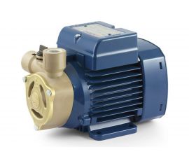 Насос Pedrollo PQAm 60 41PNQA6PA1 