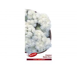 Семена Агрони Агератум ВАЙТ БОЛ 4889 