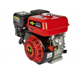 Двигатель бензиновый 4Т E650-Q19 DDE 792-865 