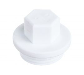 Заглушка пробка PN25 с резьбой 1 10557 