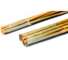 Бамбуковая поддержка GREEN APPLE GBS-10-120 120 см, 10 мм, 5 шт Б0008337 