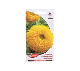 Семена Агрони Подсолнечник гелиантус ТЕДДИ БЕАР 5565 