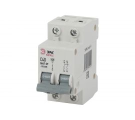 Автоматический выключатель ЭРА SIMPLE ВА 47-29 2P 10А C 4,5кА Б0039228 