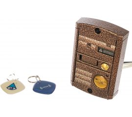 Вызывная панель Activision AVP-451 PAL Proxy Медь 