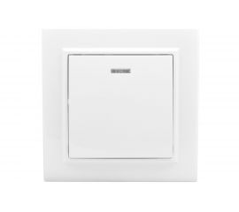 1-клавишный выключатель EKF Минск СП, с индикатором 10А, белый ERV10-121-10 