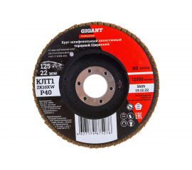Круг лепестковый Professional 125х22.2 мм, P40, цирконий Gigant GNT-P40 