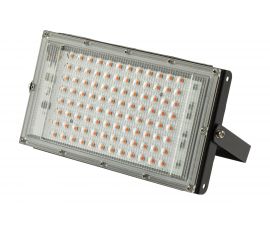 Светодиодный фитопрожектор для растений ЭРА FITO-80W-RB-LED-Y красно-синего спектра, Б0053082 