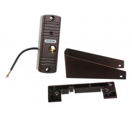 Цветная вызывная панель видеодомофона Tantos WALLE медь 