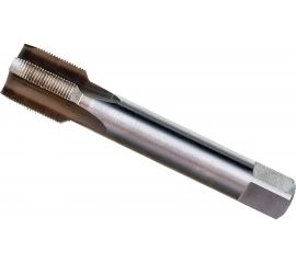 Метчик HORTZ М22x1 м/р Р6М5 203728 