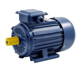 Электродвигатель ТМ БЭЗ АИР 100L2 IM1081 5,5кВт, 3000 об/мин 33697 