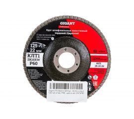 Круг лепестковый Professional 125х22.2 мм, P60, цирконий Gigant GNT-P60 