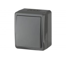 Переключатель ЭРА 11-1403-03 IP54, 10АХ-250В, ОУ, Эксперт, серый Б0020674 