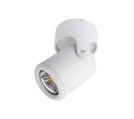 Потолочный светильник Arte Lamp A3316PL-1WH 