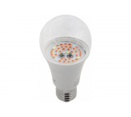 Лампа ЭРА FITO 12W RB E27 Б0050601 