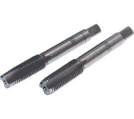 Метчик в пластиковом футляре ЭВРИКА M09x1 2шт ER-00910M 