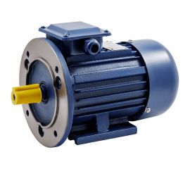 Электродвигатель ТМ БЭЗ АИР 100L4 IM2081 4 кВт, 1500 об/мин 33436 