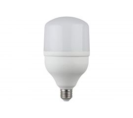 Светодиодная лампа ЭРА LED smd POWER 40W-6500-E27 Б0027006 