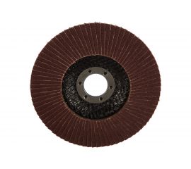 Диск наждачный лепестковый для УШМ (125х22,2 мм; Р100) FIT IT 39555 