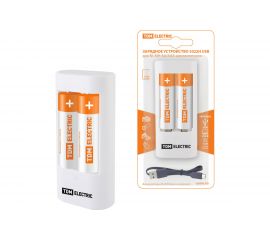 Зарядное устройство TDM 3022Н (300 mA 2 слота АА/ААА 1 канал+2xAA2500 USB) SQ1702-0103 