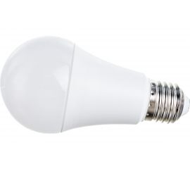 Светодиодная лампа СТАРТ в колбе лон ECO LEDGLSE27 20W 40 