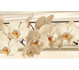 Кухонный фартук Декор Трейдинг Белые орхидеи 1000х600 мм Белыеорхидеи31771000х600 мм 