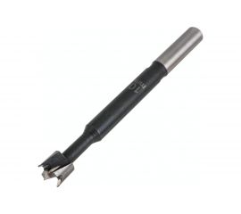 Сверло Форстнера WS 10 мм, цилиндрический хвостовик PROJAHN 33010 