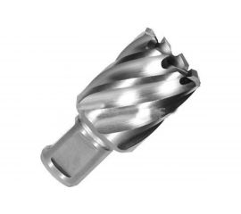 Сверло по металлу корончатое Weldon 19 мм HSS-Co (20х30х55 мм) D.BOR 474200102D 