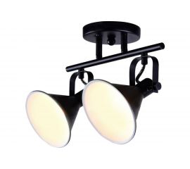 Спот J-LIGHT GASTON 1379/2A 