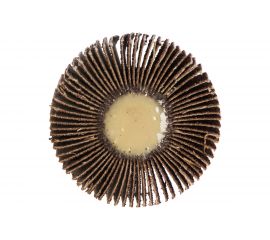 Круг лепестковый с оправкой (50х15мм; P 80) ПРАКТИКА 648-991 