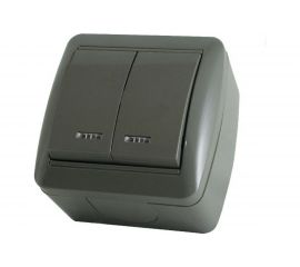 2-клавишный выключатель TDM открытой установки с подсветкой IP44 10А серый "Селигер" SQ1818-0104 