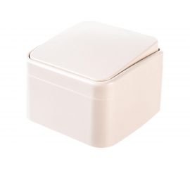 Выключатель Intro Polo 3-101-02 10A-250В, IP20, открытая установка, слоновая кость, Б0053526 