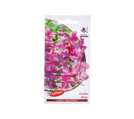 Семена Агрони Сальвия МИКС 3240 