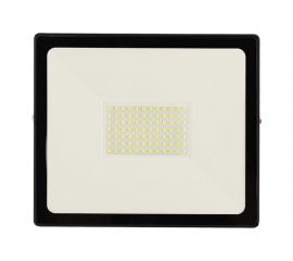 Светодиодный прожектор REXANT 100 Вт зеленое свечение 605-018 