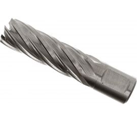 Сверло кольцевое (19х55 мм; HSS; Weldon 19) EUROBOOR HCL.190 