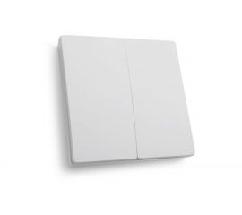 Двухклавишный выключатель дистанционного управления FERON 250V 500W TM82 41129 