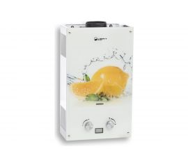 Газовый проточный водонагреватель WERT 10EG LEMON 