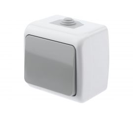 Выключатель Intro Atlantic 5-101-03 10А-250В IP54 открытой установки серый Б0050940 