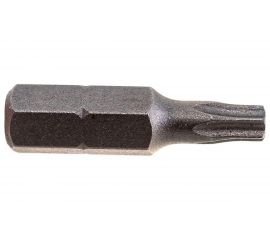 Бита Torx Tamper ТТ20, 25 мм, 2 шт. REDVERG 6623497 
